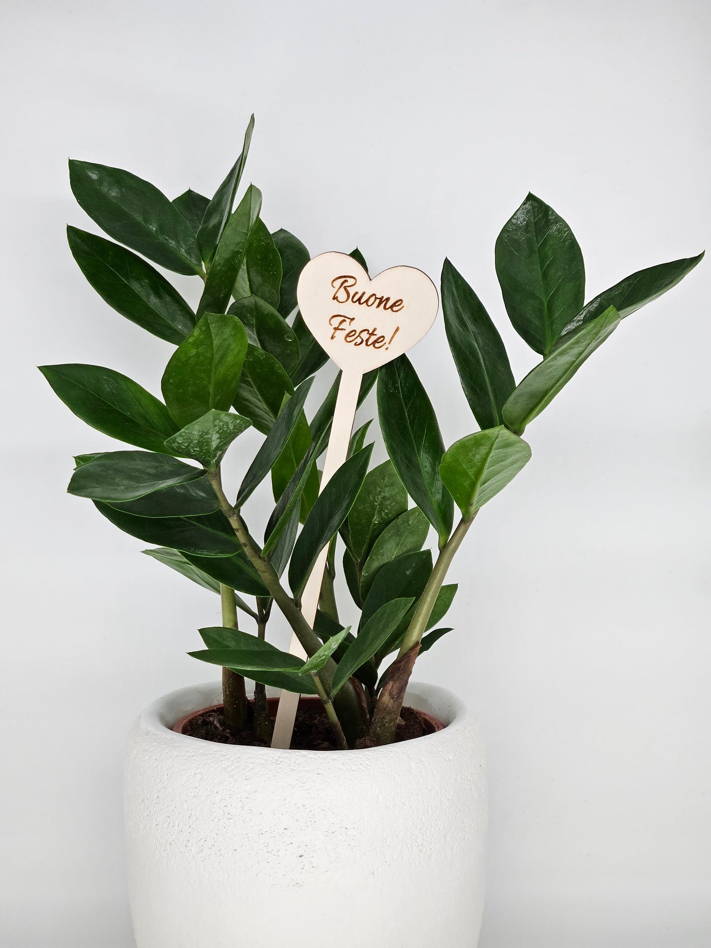10x - Puntale ALTO "Buone Feste!" naturale