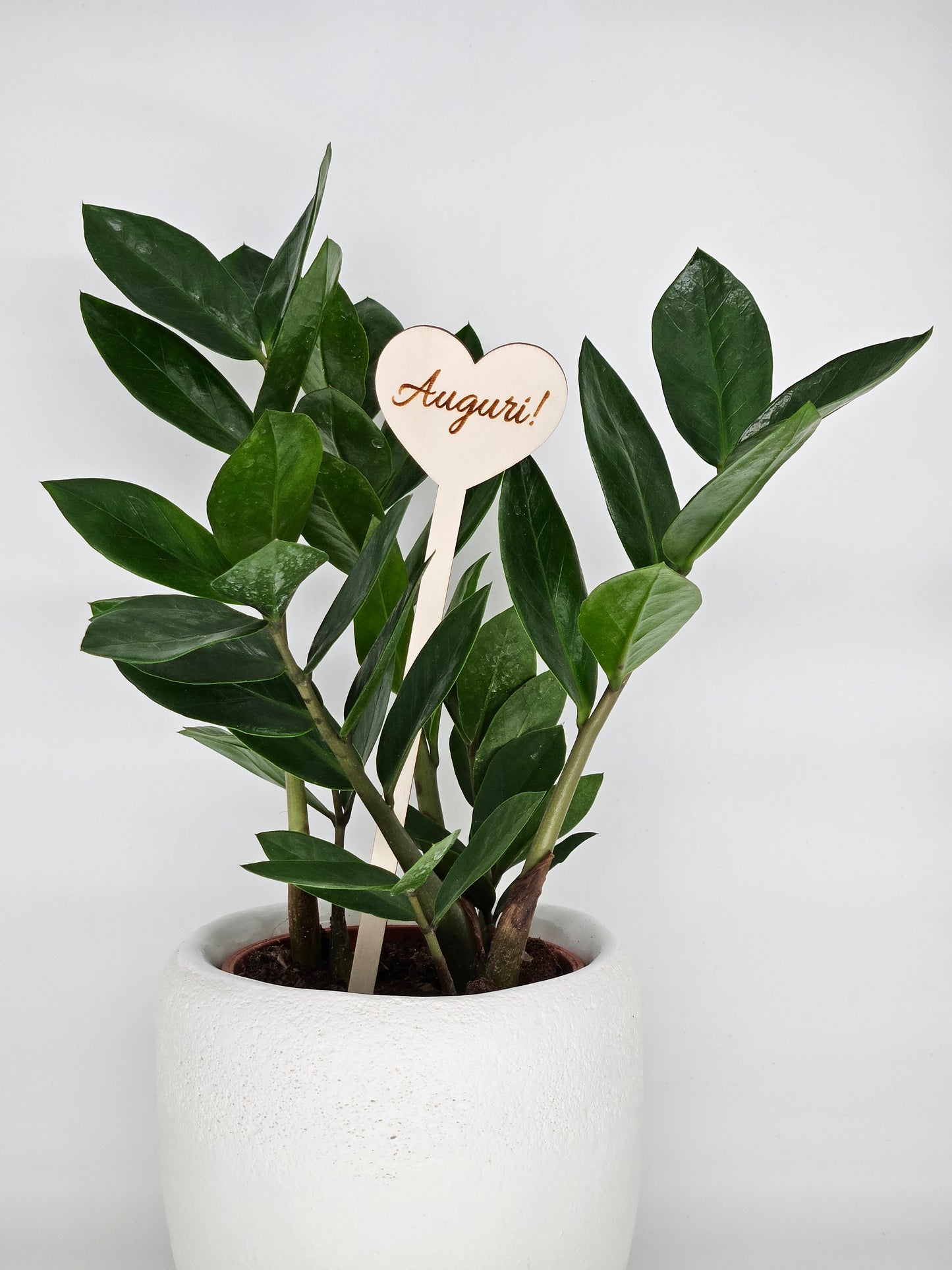 10x - Puntale ALTO "Auguri!" naturale