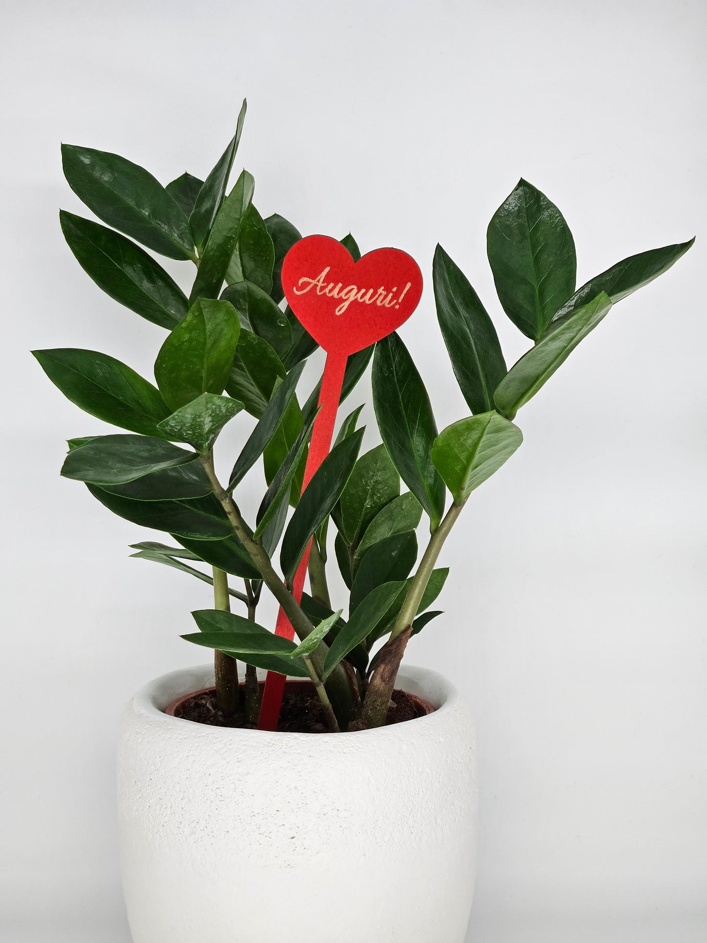 10x - Puntale ALTO "Auguri!" rosso