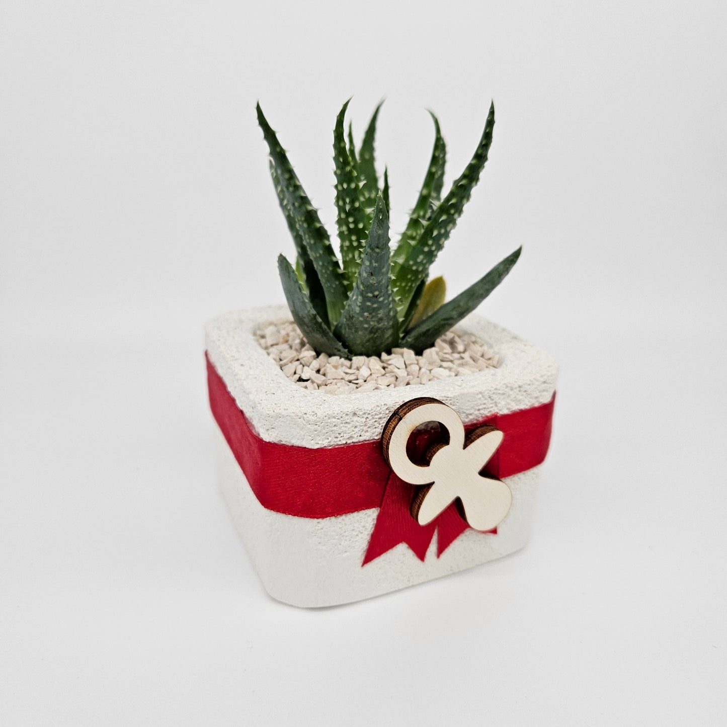 30x - Ciuccio